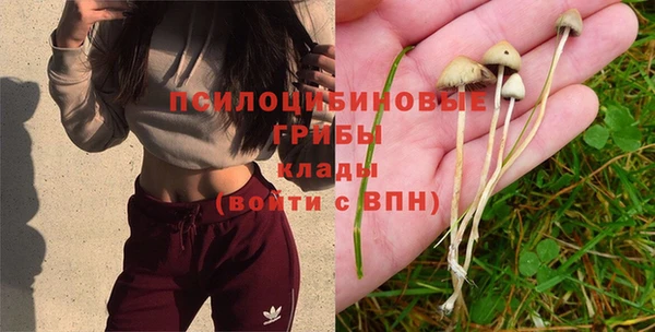 каннабис Алексеевка
