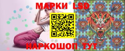 шишки Камышлов