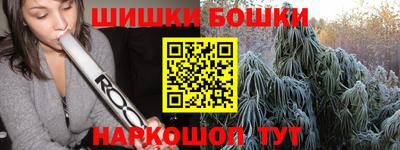 шишки Кандалакша