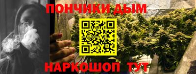шишки Кандалакша