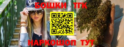 шишки Кандалакша