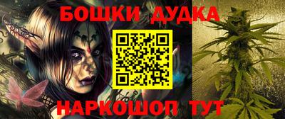 шишки Кандалакша