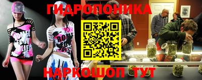 ГАЛЛЮЦИНОГЕННЫЕ ГРИБЫ Берёзовский