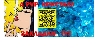 шишки Кандалакша