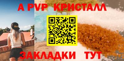 шишки Кандалакша