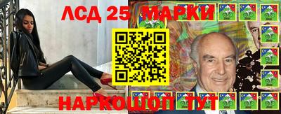 ГАЛЛЮЦИНОГЕННЫЕ ГРИБЫ Берёзовский